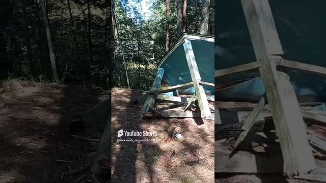 Жаль видеть такое запустение кругом