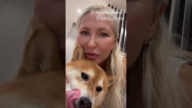 Моя Любовь 😍
Делитесь впечатлениями👇👇👇
https://wa.me/79251177711
#любовь #собаки