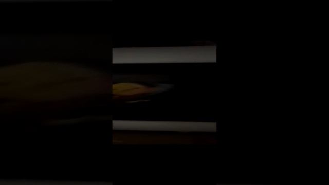 VID_20241223_183929.mp4