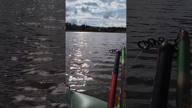 летняя рыбалка 🎣 с лодки