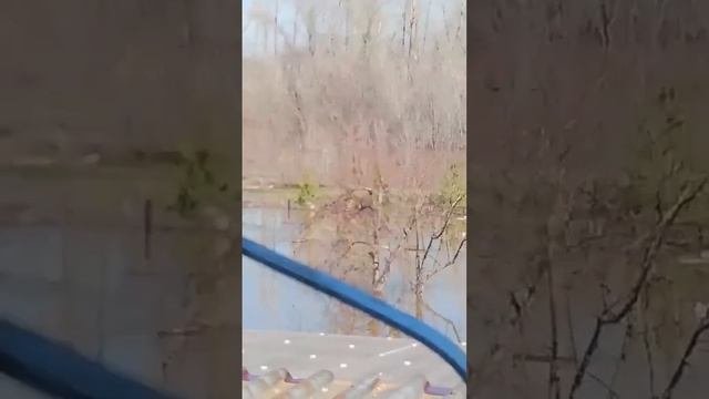 В 9 января люди сами пытаются заделывать дамбу. На улице Новая вода почти в весь 1 этаж