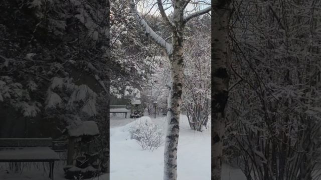 Добро пожаловать в сказку!