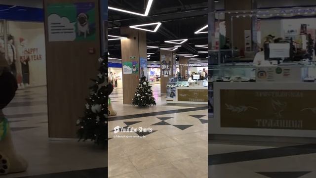 Санкт-Петербург. 23.12.2024 (Съемка от 15.12.2024). ТК «Пик» интерьеры. Первый этаж. Фрагмент 2