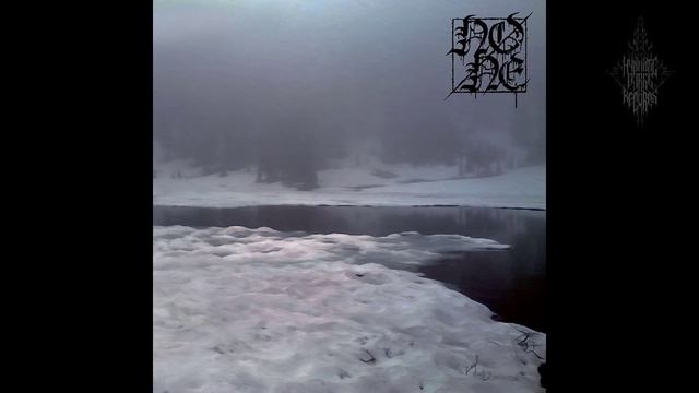 None - None (Full Album)
