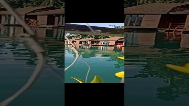 1000446042.mp4