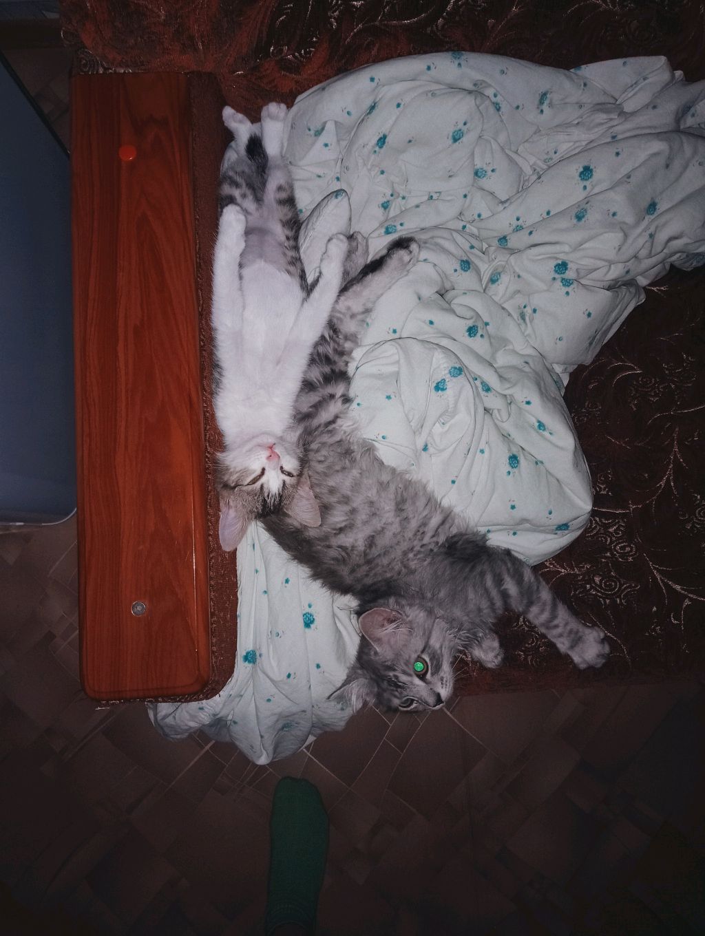 ВОРОСИКИ