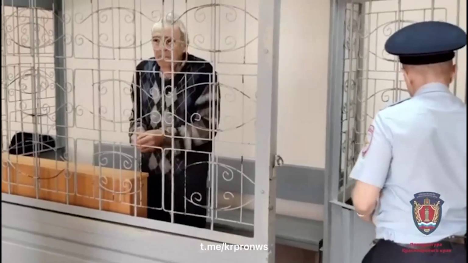 УБИВШЕГО ВНУЧКУ И ПРАВНУЧКУ ПЕНСИОНЕРА ОТПРАВЯТ НА ПРИНУДИТЕЛЬНОЕ ЛЕЧЕНИЕ