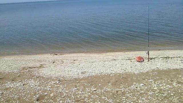 Приготовь удочку!