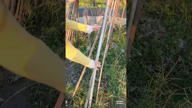 случай😜