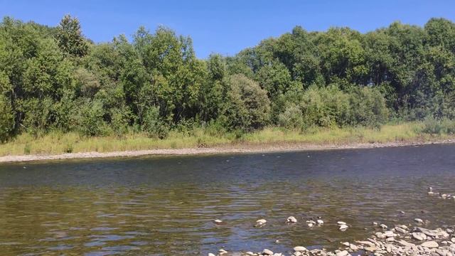 НУ КАКОВА КРАСОТА