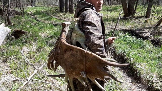 домой с рогами весна 24