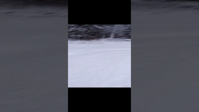 1000016429.mp4