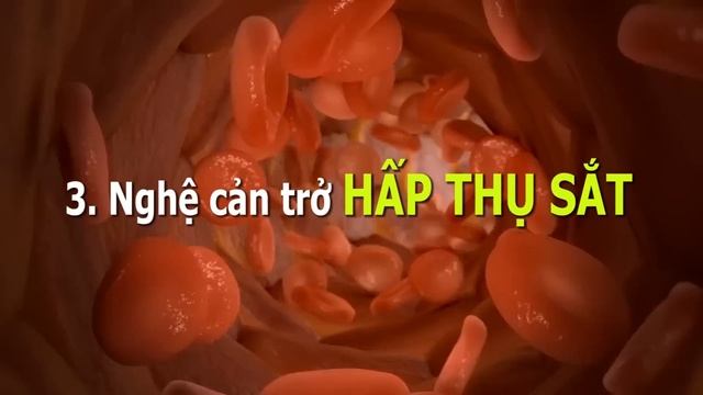 Cảnh Báo: Sáng Ngủ Dậy CỨ UỐNG NGHỆ nấu cùng THỨ NÀY chữa cả tỷ bệnh THẦN DƯỢC BỔ HƠN SÂM 100 Triệu