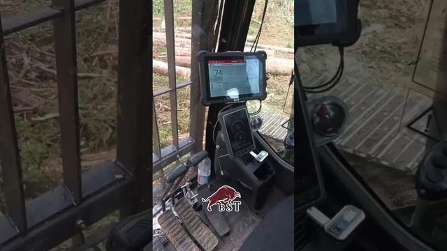 Техника в наличии! Харвестер на базе лесного экскаватора SANY c харвестерной головкой WOODY