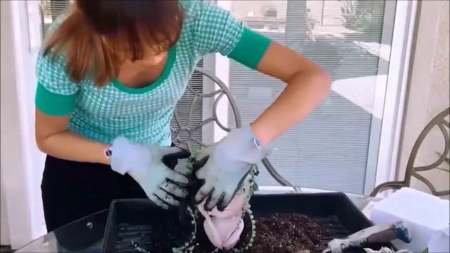 Цветочный горшок.