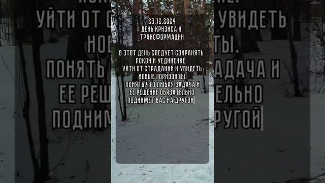 энергия дня 23 12.2024