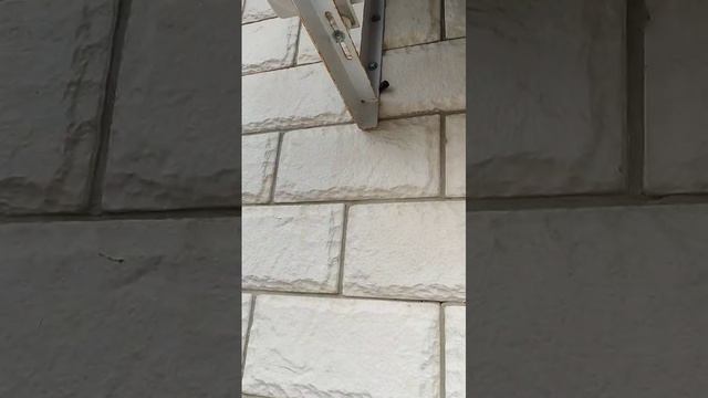 1000024922.mp4