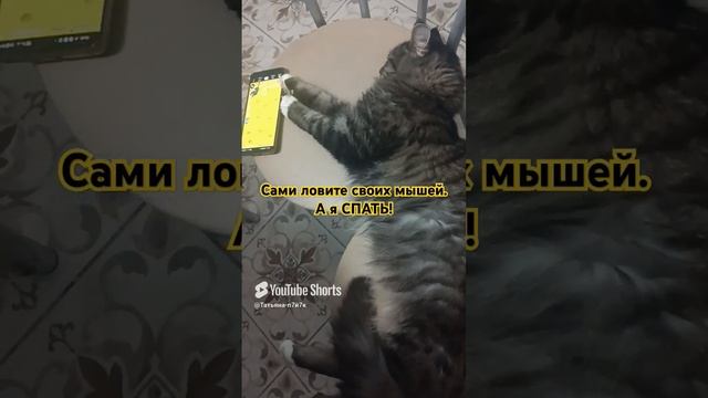 1000098104.mp4