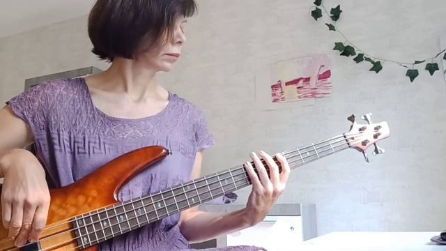 "Breaking the girl" RHCP (bass cover)