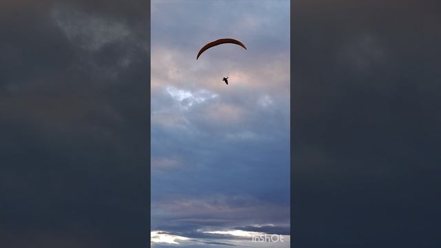 Параавис рей 75-95