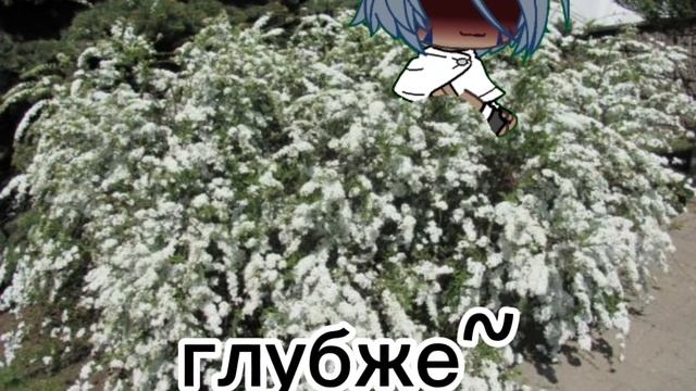 срача🍆❤️🥵🪤🪤🪤💦💦