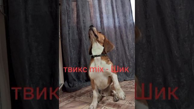 твикс mix-шик