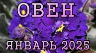 ОВЕН таро прогноз на ЯНВАРЬ 2025 года.