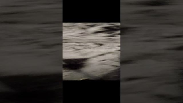 1000055542.mp4