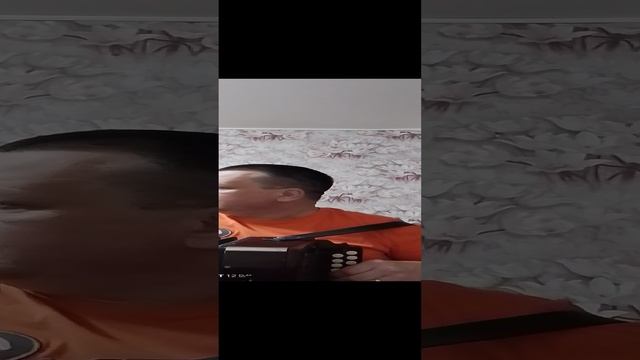 гармонь
