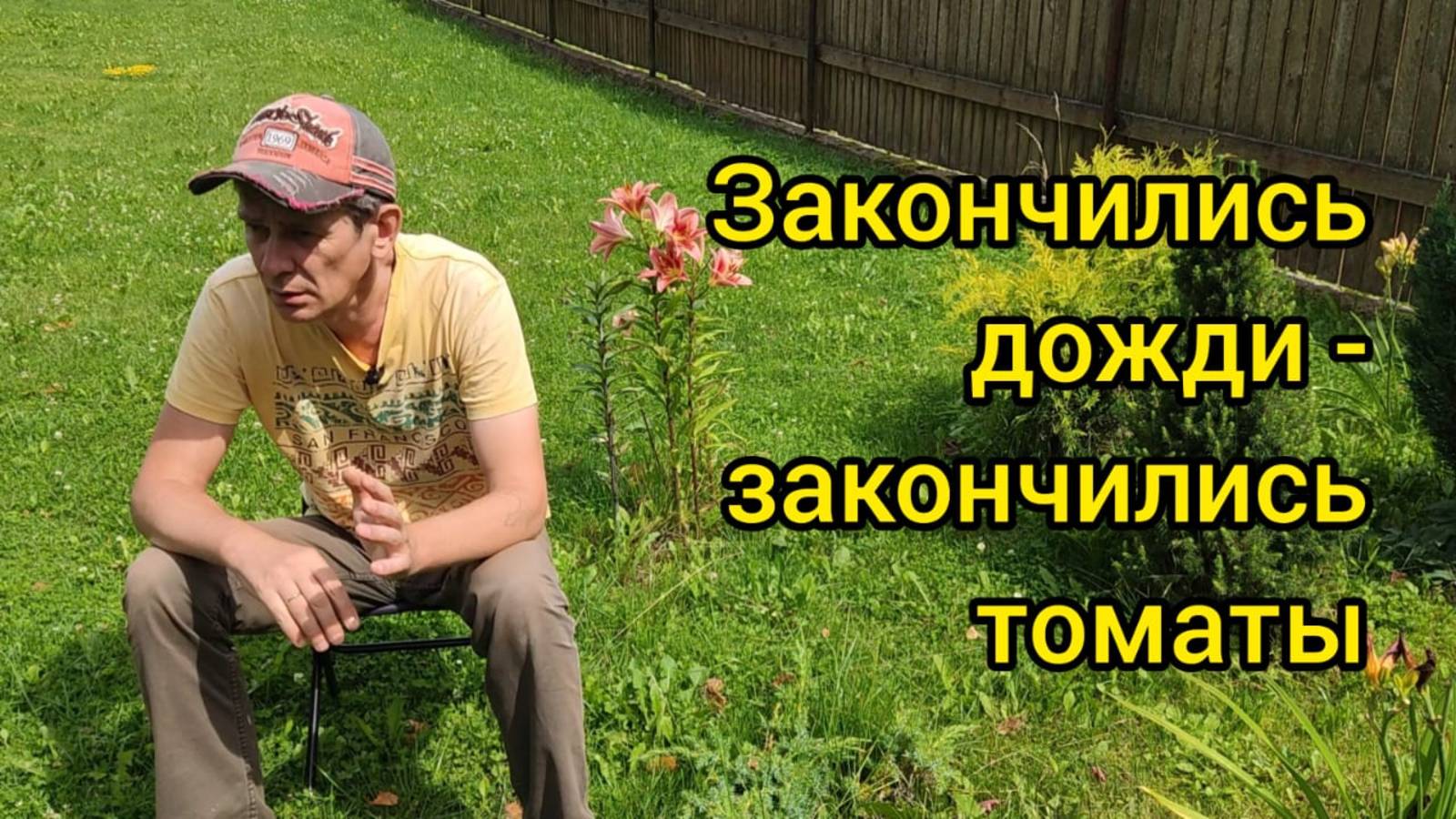 Закончились дожди - закончились томаты