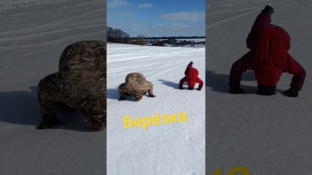 берёзка с папой #Чистоеполе #снег #наст #shortsvideo #берёзка #семья #блогеры #youtube #anime