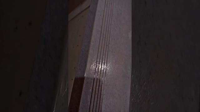 1000047436.mp4
