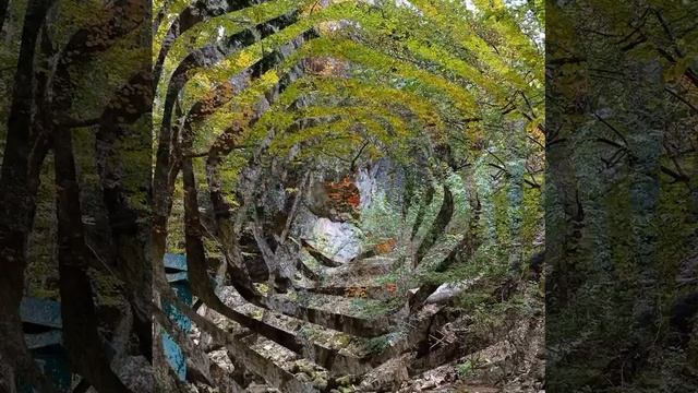 Осень в Большом каньоне.