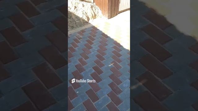 Итоги проделанной работе в снт