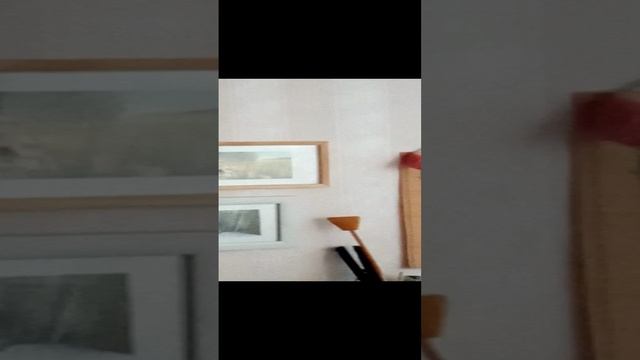 VID_20241208_101810.mp4