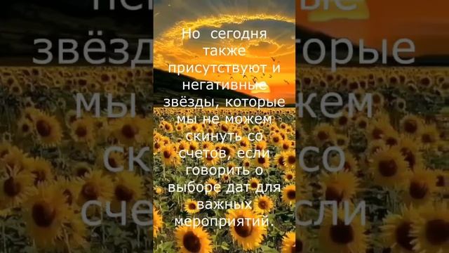 ПРОГНОЗ НА 24.12.2024