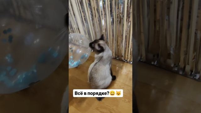 Всё в порядке?