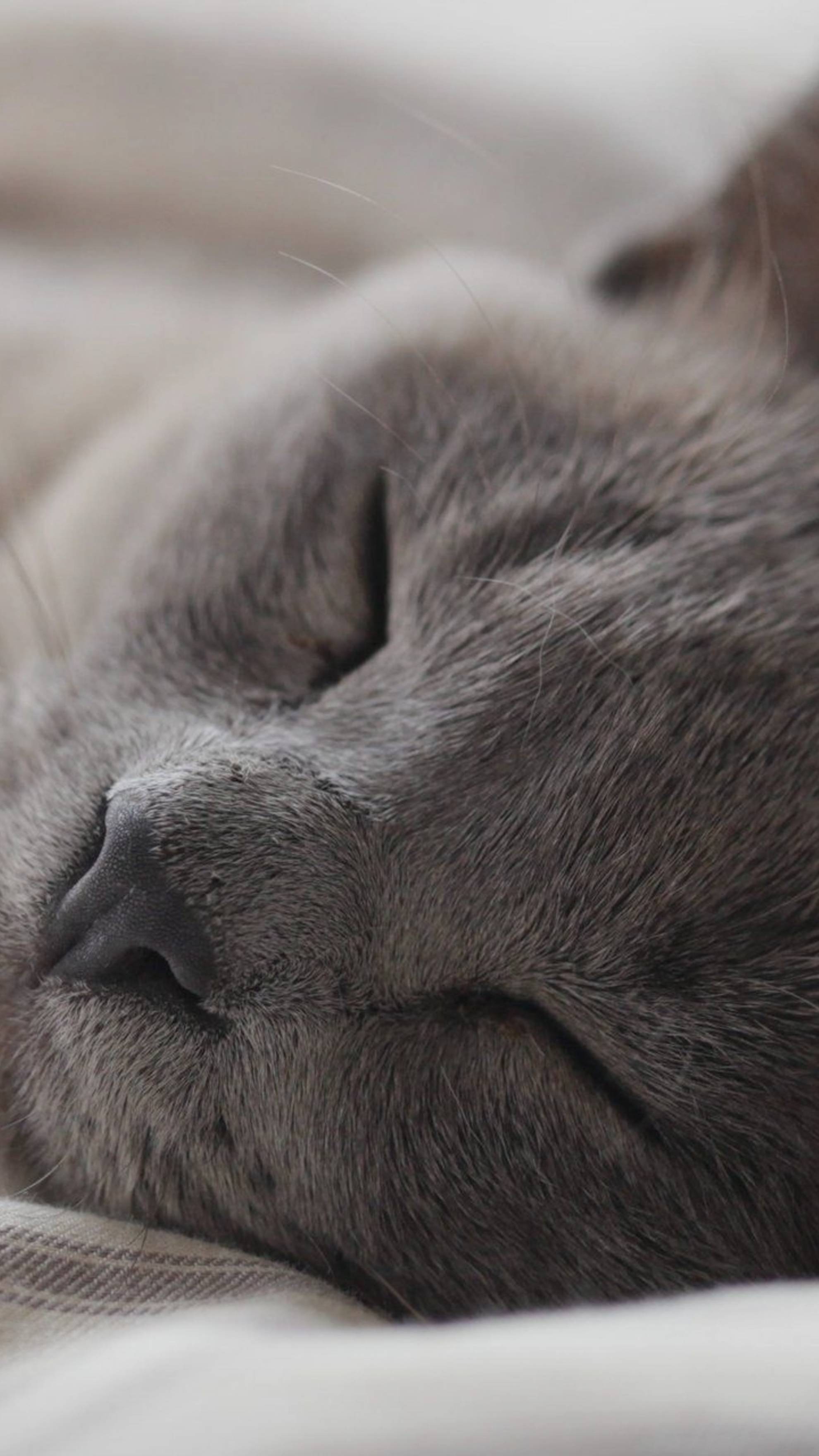 Котик
Круто