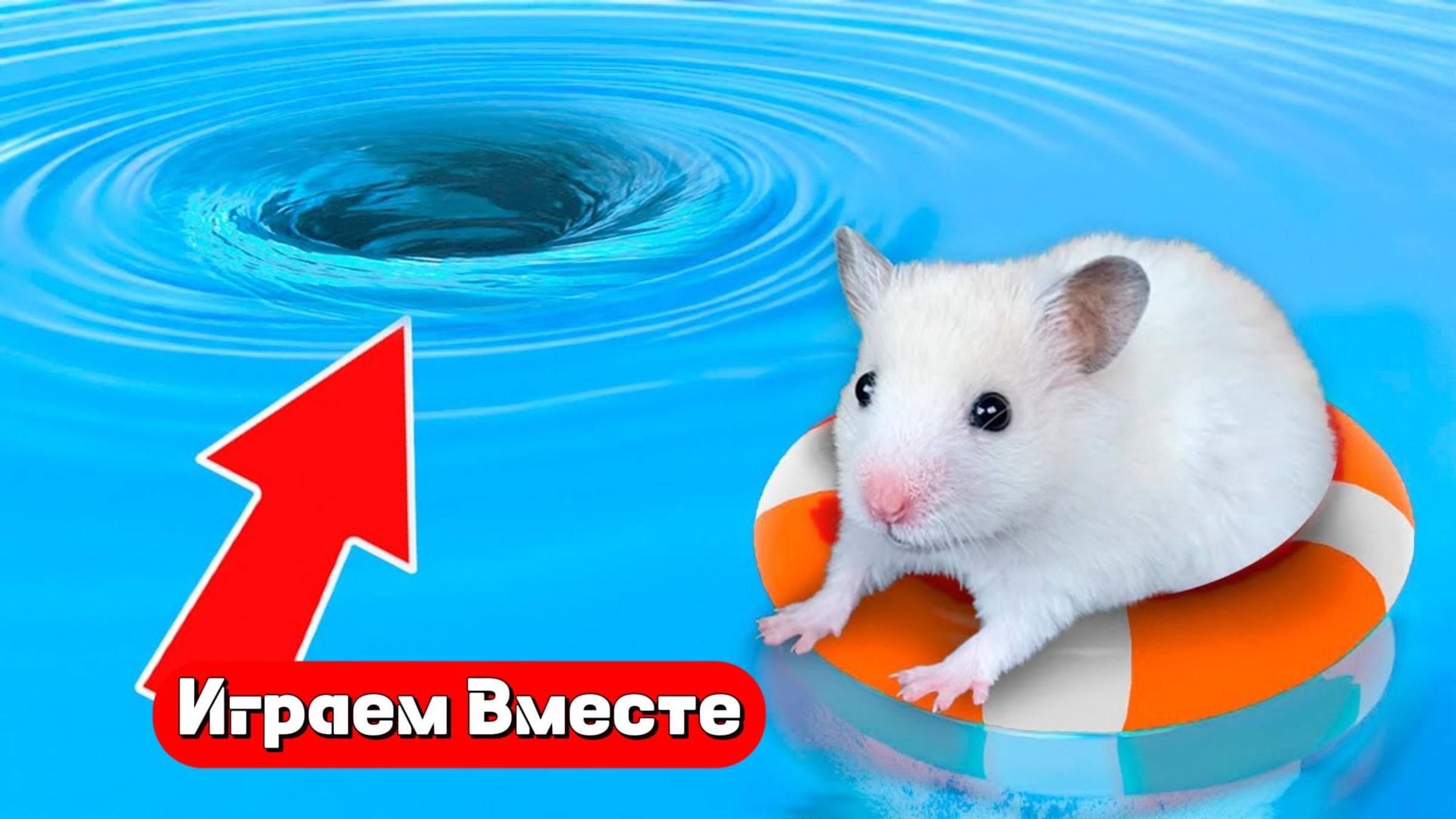 Вместе с хомяком выбираемся из ВОДОВОРОТА ! Топ лабиринт с ловушками🐹🐹🐹 Видео для детей 👍