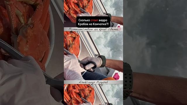 Сколько стоят КРАБЫ на Камчатке? 🦀