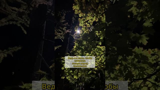 Заметки непутёвого писателя "Маяковский и запятые"