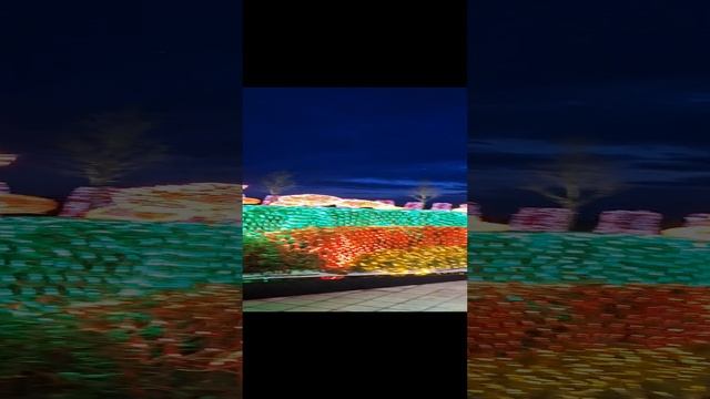 Работаю в Парке Галицкого на Экскаваторе