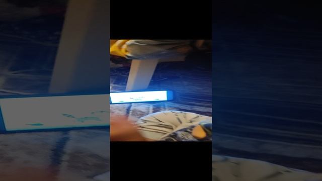 Запускаем новую беспроводную портативную колонку JB LClip с малышом, слушаем и радуемся