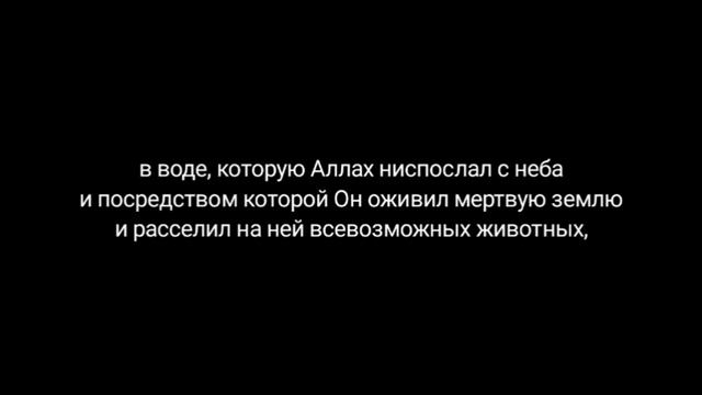 Сура аль-Бакара 159-167 аяты. Мухаммад аль люхайдан 1430г