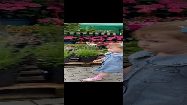 Цветы цветы 🌷 🌹 🌷 🌹 🌷