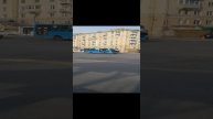 автобус 7