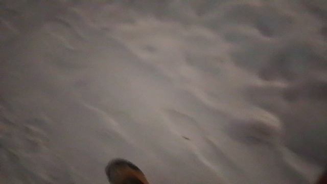 1000023108.mp4