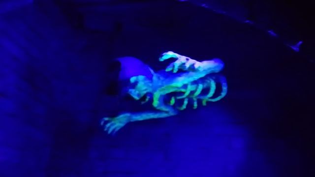1000001077.mp4