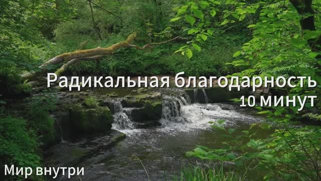 Утренняя медитация благодарности | 10 минут радикального принятия и гармонии