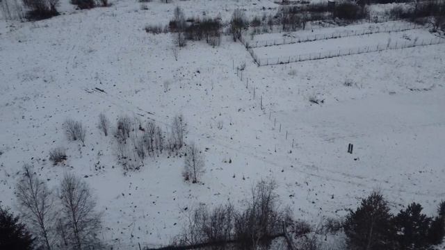 Язвище 1142
